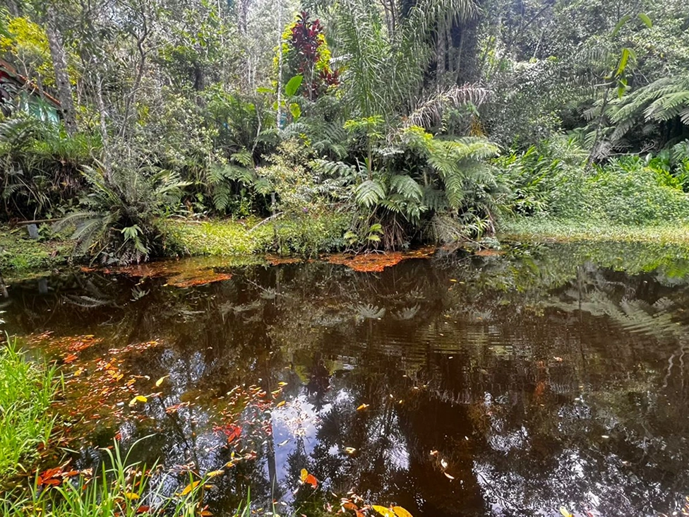 WhatsApp Image 2026-01-30 at 07.32.55 (1) 1