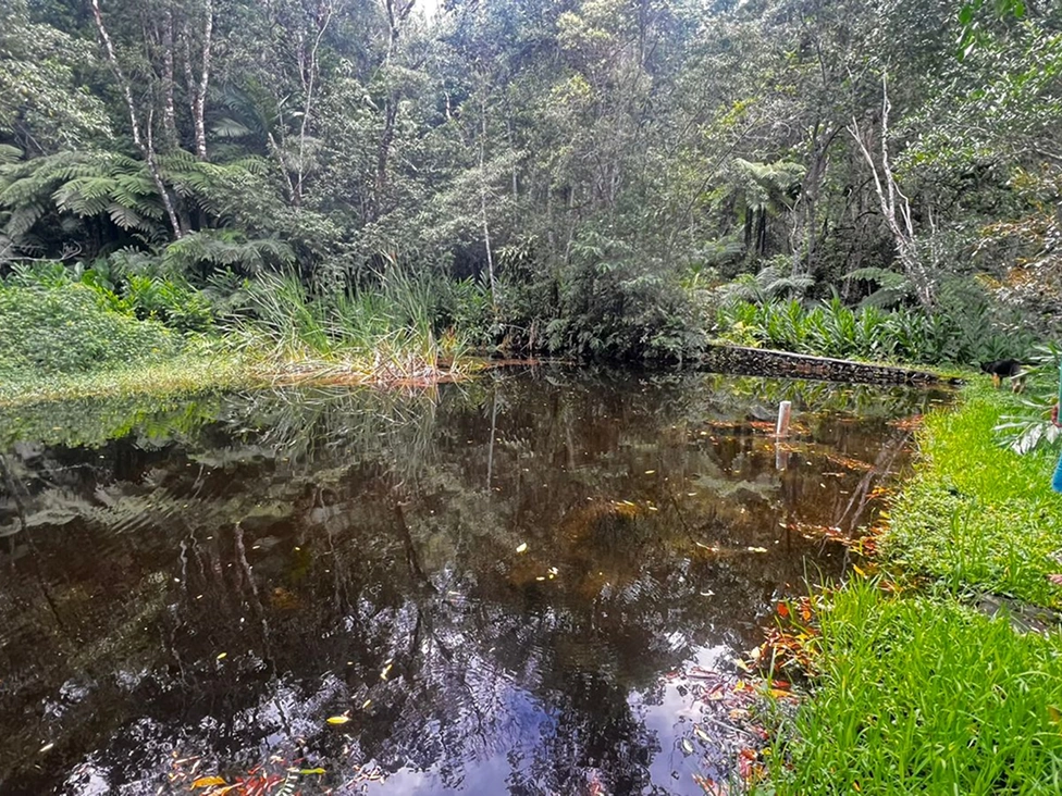 WhatsApp Image 2026-01-30 at 07.32.56 (3) 1