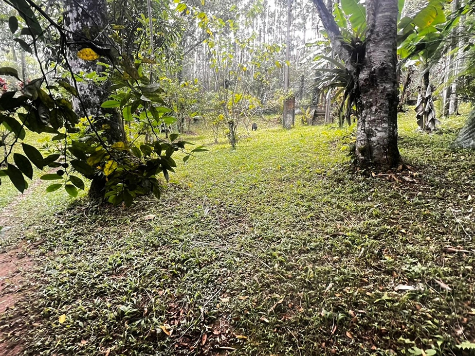 WhatsApp Image 2026-01-30 at 07.32.59 (4) 1