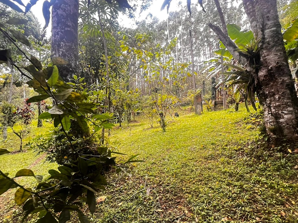 WhatsApp Image 2026-01-30 at 07.33.00 (2) 1